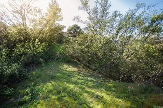 0 McNally Road, Valley Center, CA 92082 - #3