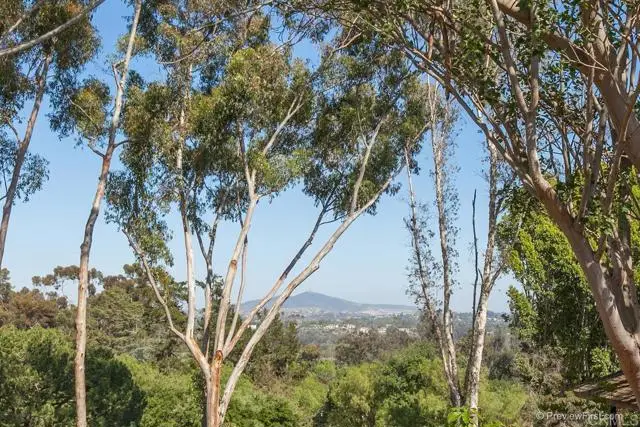 16238 Via Del Alba, Rancho Santa Fe, CA 92067 - #2