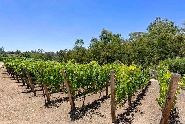 5293 La Glorieta, Rancho Santa Fe, CA 92067 - #2