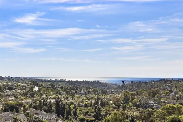 24452 Los Serranos Drive, Laguna Niguel, CA 92677 - #2