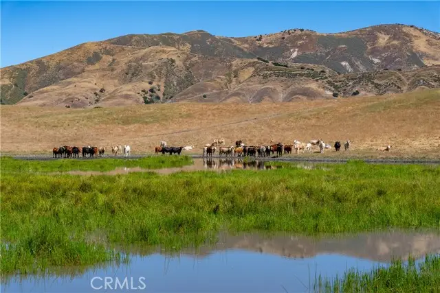 48400 Reliz Canyon Road, Greenfield, CA 93927 - #3