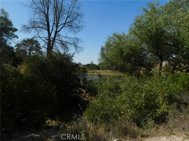 7878 O'Donovan Road, Creston, CA 93432 - #3