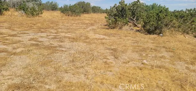 0 UNKN OWN, Indio, CA 92201 - #1
