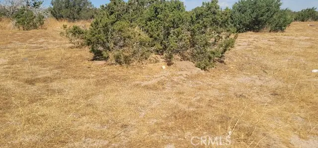 0 UNKN OWN, Indio, CA 92201 - #2