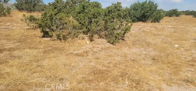 0 UNKN OWN, Indio, CA 92201 - #3