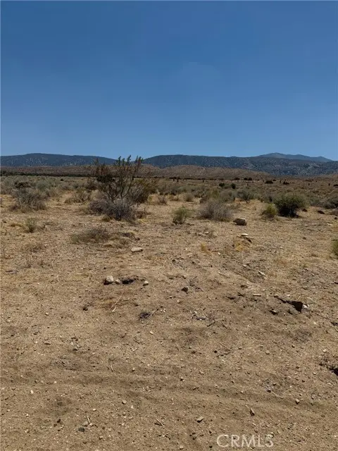 226 Vac/Cor Avenue, Llano, CA 93544