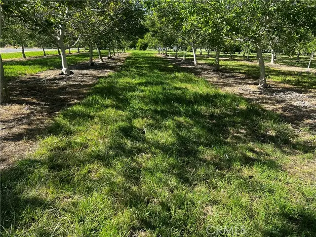 4180 COUNTY 203 Road, Hamilton City, CA 95951 - #2