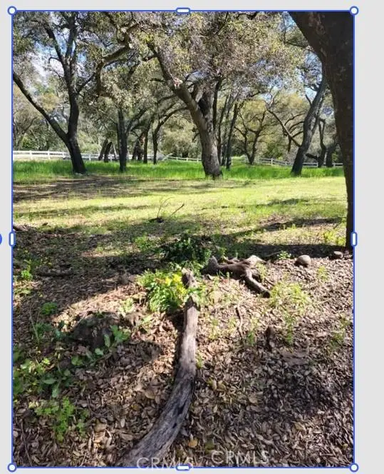 19411 Live Oak Canyon, Trabuco Canyon, CA 92679 - #2