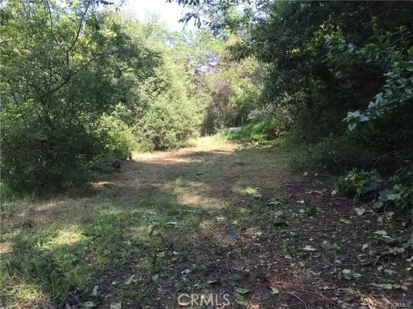 30242 Oak Lane, Silverado, CA 92676