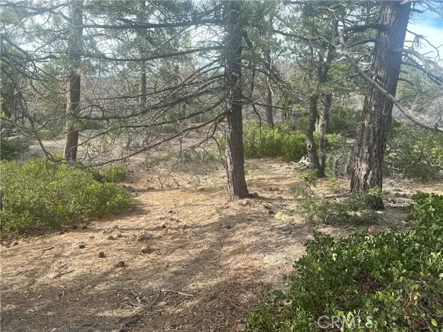 0 Hardy, Running Springs, CA 92382 - #1