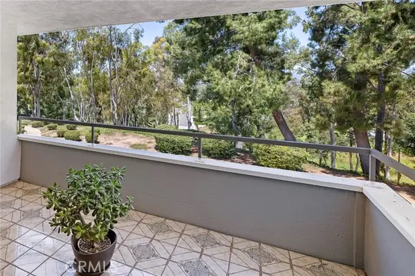 22342 Caminito Escobedo, Laguna Hills, CA 92653
