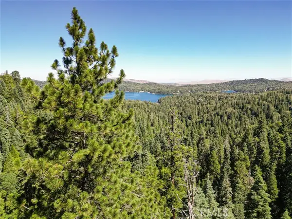 746 Blue Ridge Drive, Skyforest, CA 92385
