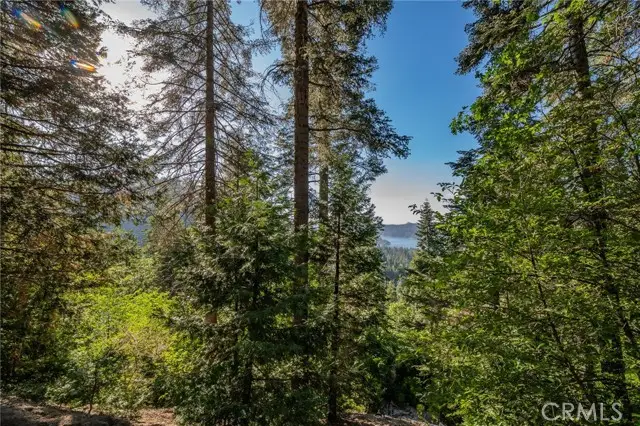 716 Blue Ridge Drive, Skyforest, CA 92385 - #1