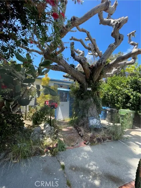 12117 Alberta Dr, Los Angeles, CA 90230 - #1