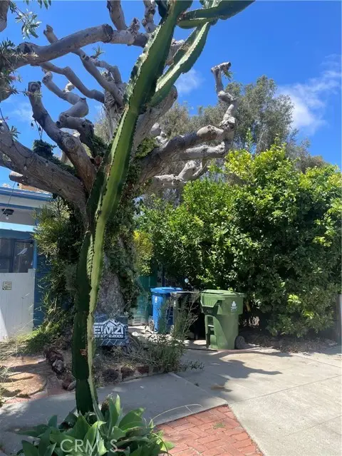 12117 Alberta Dr, Los Angeles, CA 90230 - #2