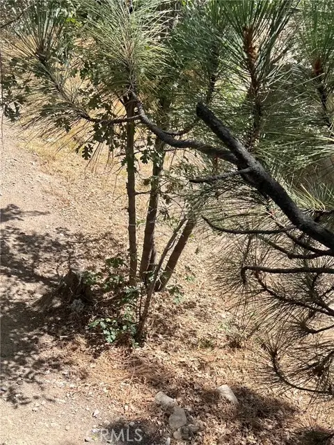 0 Robin, Running Springs, CA 92382