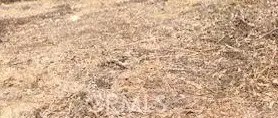 0 Trinity lot 343, Lake Arrowhead, CA 92352 - #1