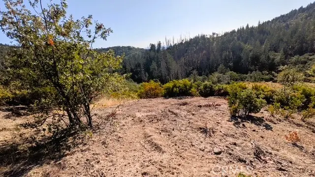 13711 Prather, Cobb, CA 95426 - #2