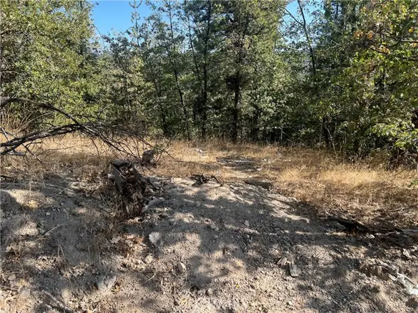0 Lone Pine Dr., Running Springs, CA 92382