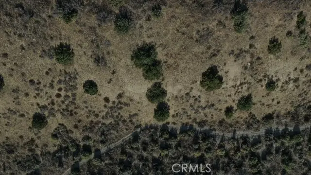 108 Angeles Forest Highway, Palmdale, CA 93550 - #3