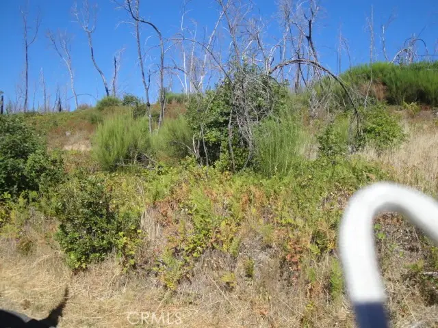 0 Meadow Lane, Berry Creek, CA 95916 - #1