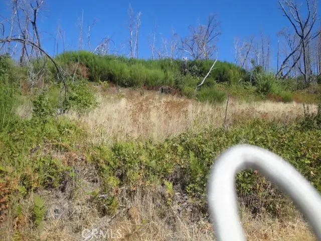 0 Meadow Lane, Berry Creek, CA 95916 - #2