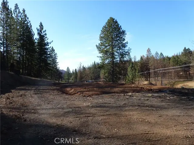 9890 Oro Quincy Highway, Berry Creek, CA 95916 - #2
