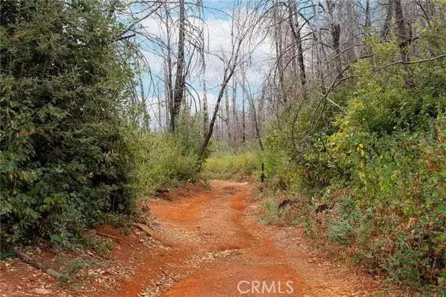 0 Stephens Ridge Rd, Berry Creek, CA 95916 - #3