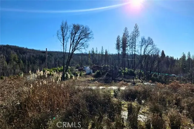 89 Meadow Lane, Berry Creek, CA 95916 - #2
