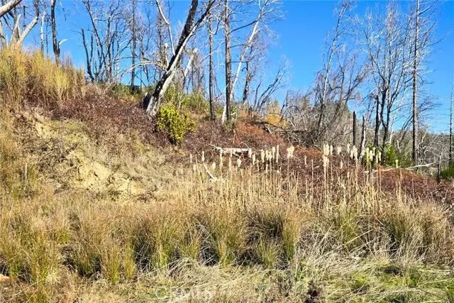 89 Meadow Lane, Berry Creek, CA 95916 - #3