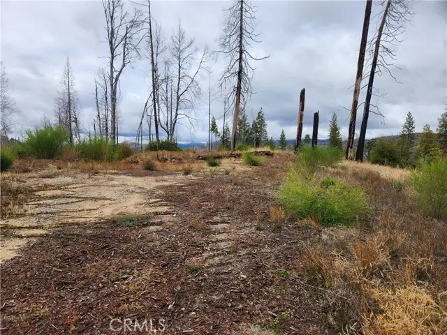 1103 Bald Rock Road, Berry Creek, CA 95916 - #2