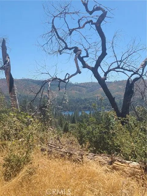 0 HOG RANCH ROAD, Oroville, CA 95965 - #1