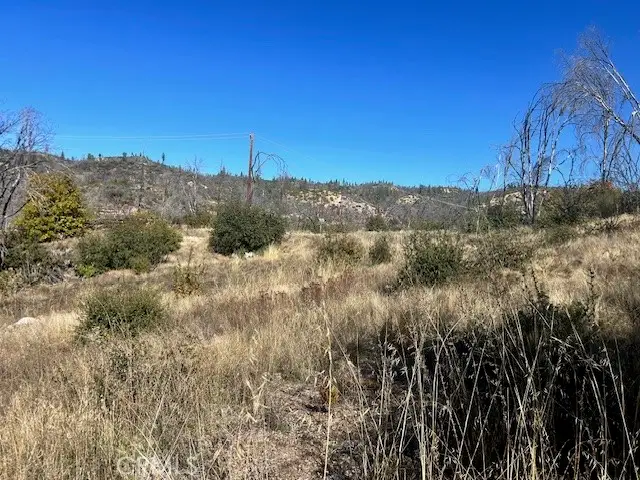 0 Craig Access, Feather Falls, CA 95940 - #1