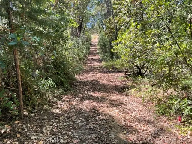 12 Broken Springs, Oroville, CA 95966 - #1