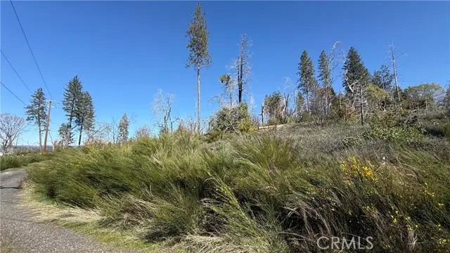 0 Starcrest Lane, Berry Creek, CA 95916 - #1