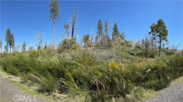 0 Starcrest Lane, Berry Creek, CA 95916 - #2