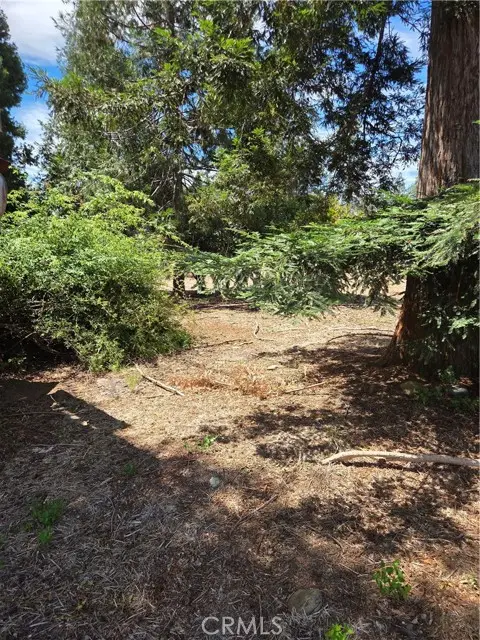 1572 Adams Road, Paradise, CA 95969 - #2