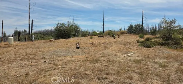 274 Webster, Berry Creek, CA 95916 - #2