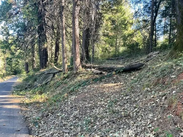 0 Old Forbestown Road, Oroville, CA 95966 - #1