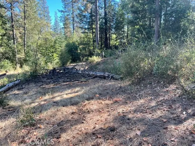 0 Old Forbestown Road, Oroville, CA 95966 - #3