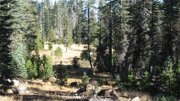 0 sugar pine, Rackerby, CA 95972