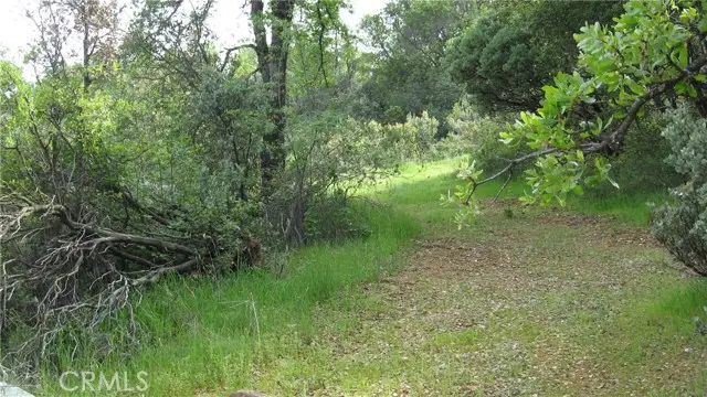 0 sugar pine, Rackerby, CA 95972 - #2
