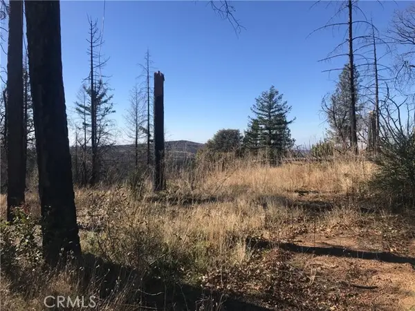 0 buchner, Berry Creek, CA 95916