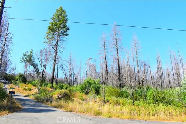 0 Oak Drive, Berry Creek, CA 95916 - #1