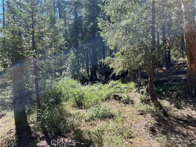 0 coutelenc, Magalia, CA 95954 - #1