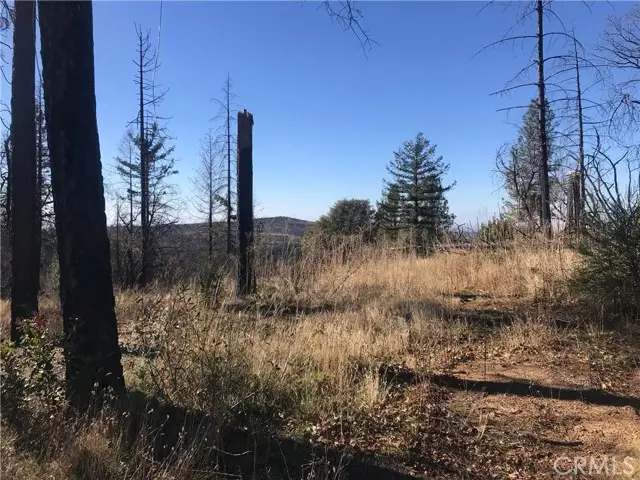 0 kaelin, Berry Creek, CA 95916 - #1