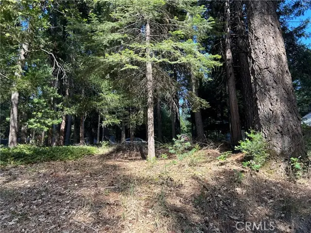 0 Bridgeport, Magalia, CA 95954 - #1