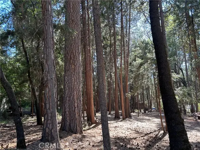 0 Bridgeport, Magalia, CA 95954 - #2