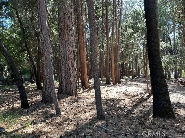 0 Bridgeport, Magalia, CA 95954 - #3