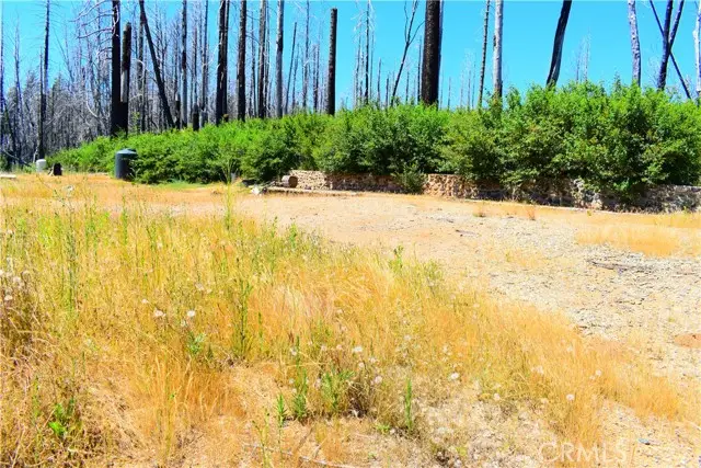 461 Milsap Bar, Berry Creek, CA 95916 - #1